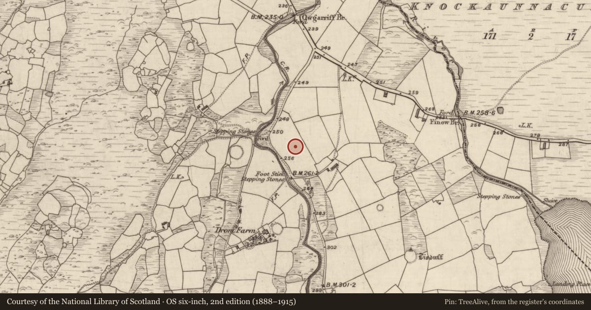 Ordnance Survey six-inch map, 2nd edition (1888–1915) covering the location of Souterrain, Gortdromakiery, County Kerry, with a pin at the register's coordinates