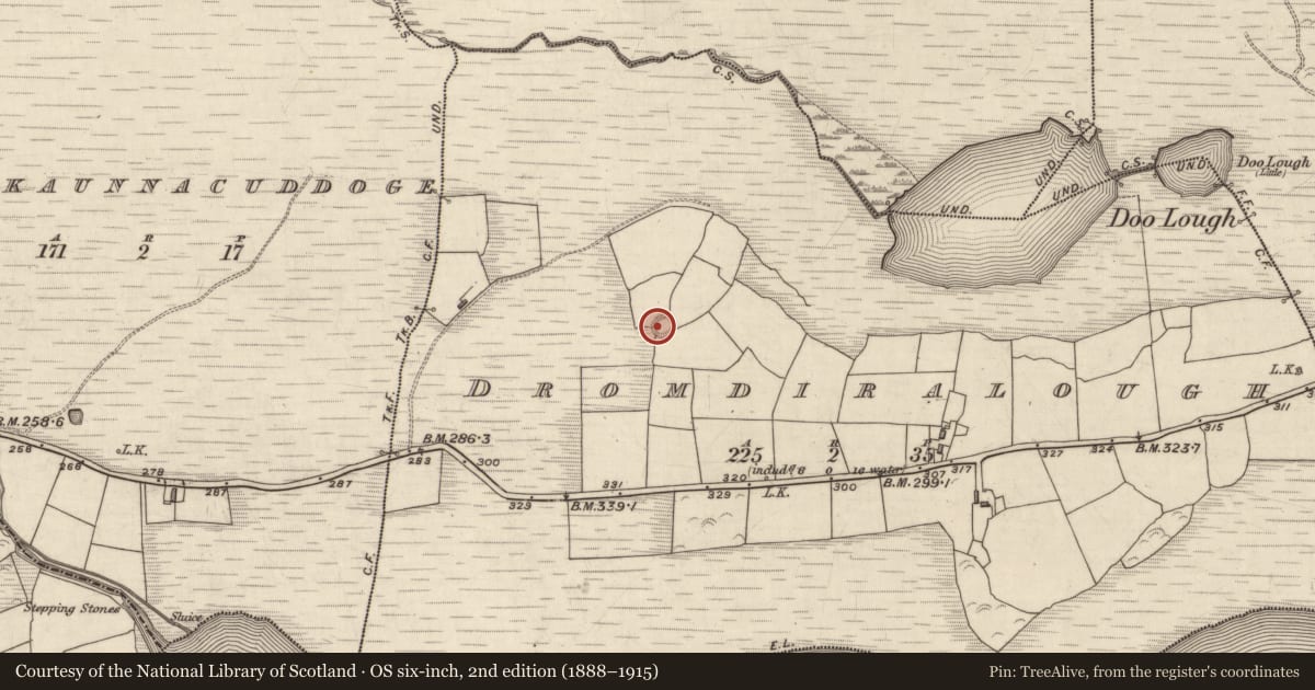 Ordnance Survey six-inch map, 2nd edition (1888–1915) covering the location of Ringfort - rath, Dromdiralough, County Kerry, with a pin at the register's coordinates