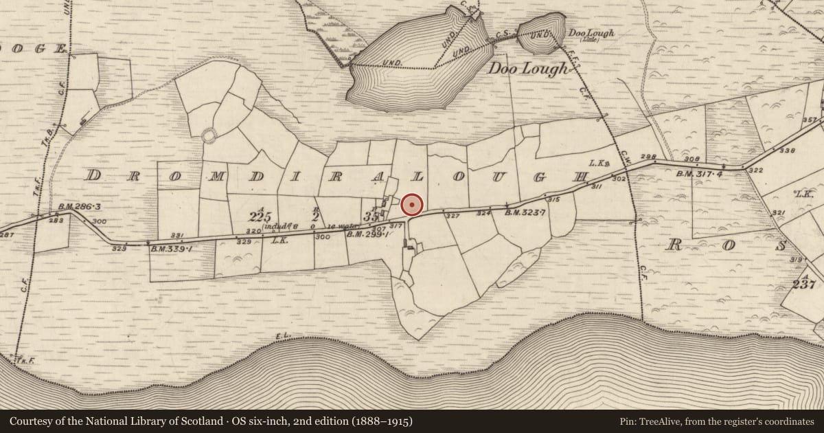 Ordnance Survey six-inch map, 2nd edition (1888–1915) covering the location of Ringfort - rath, Dromdiralough, County Kerry, with a pin at the register's coordinates