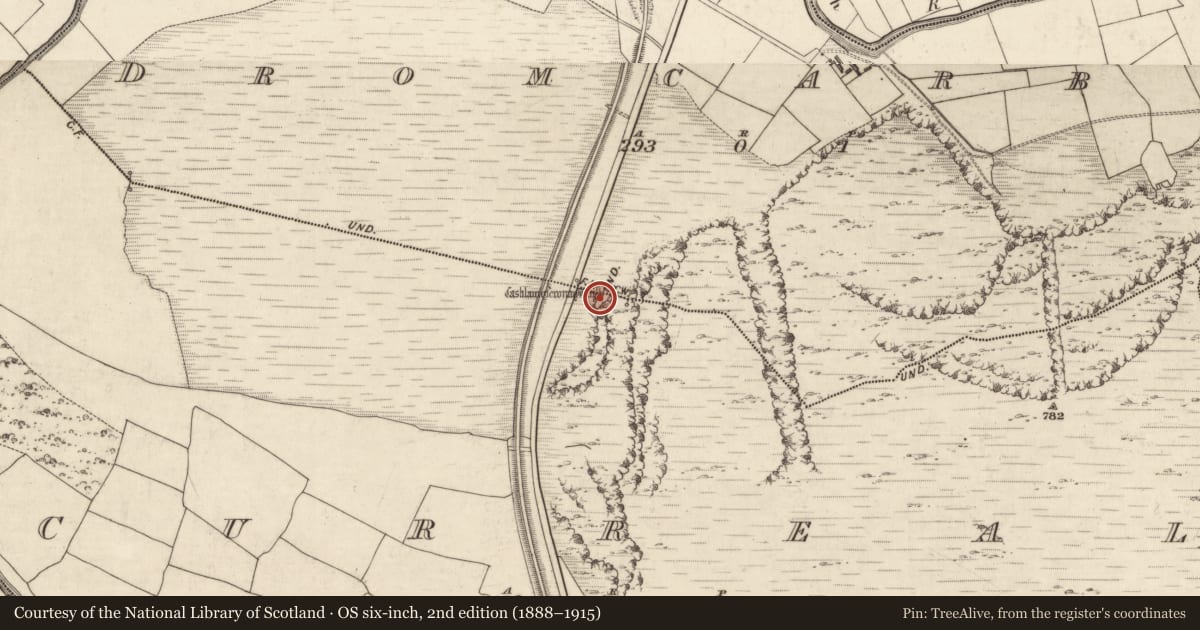 Ordnance Survey six-inch map, 2nd edition (1888–1915) covering the location of Cairn - unclassified, Curreal, Dromcarban, County Kerry, with a pin at the register's coordinates