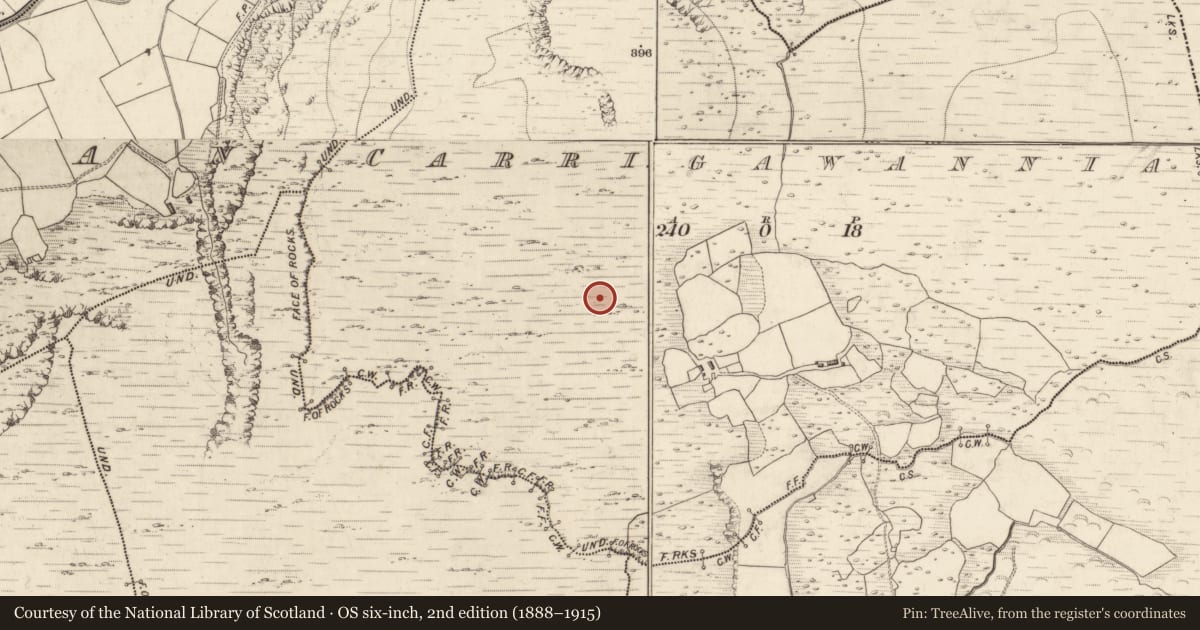 Ordnance Survey six-inch map, 2nd edition (1888–1915) covering the location of Hut site, Carrigawannia, County Kerry, with a pin at the register's coordinates