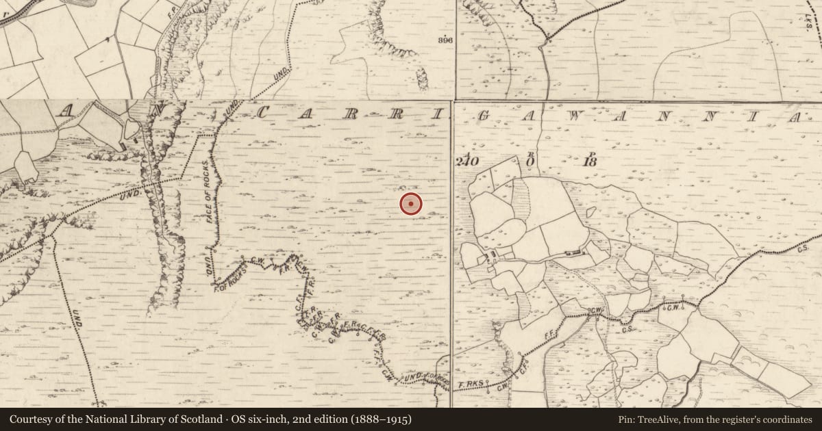 Ordnance Survey six-inch map, 2nd edition (1888–1915) covering the location of Hut site, Carrigawannia, County Kerry, with a pin at the register's coordinates
