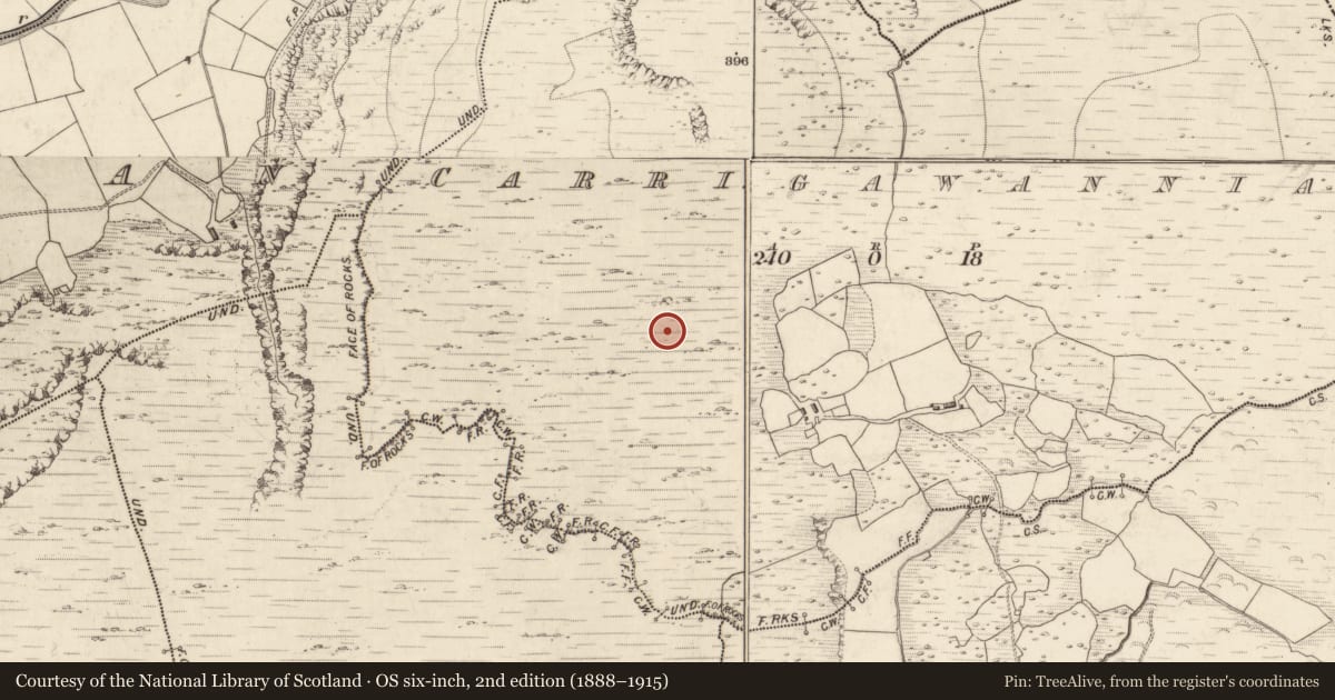 Ordnance Survey six-inch map, 2nd edition (1888–1915) covering the location of Hut site, Carrigawannia, County Kerry, with a pin at the register's coordinates
