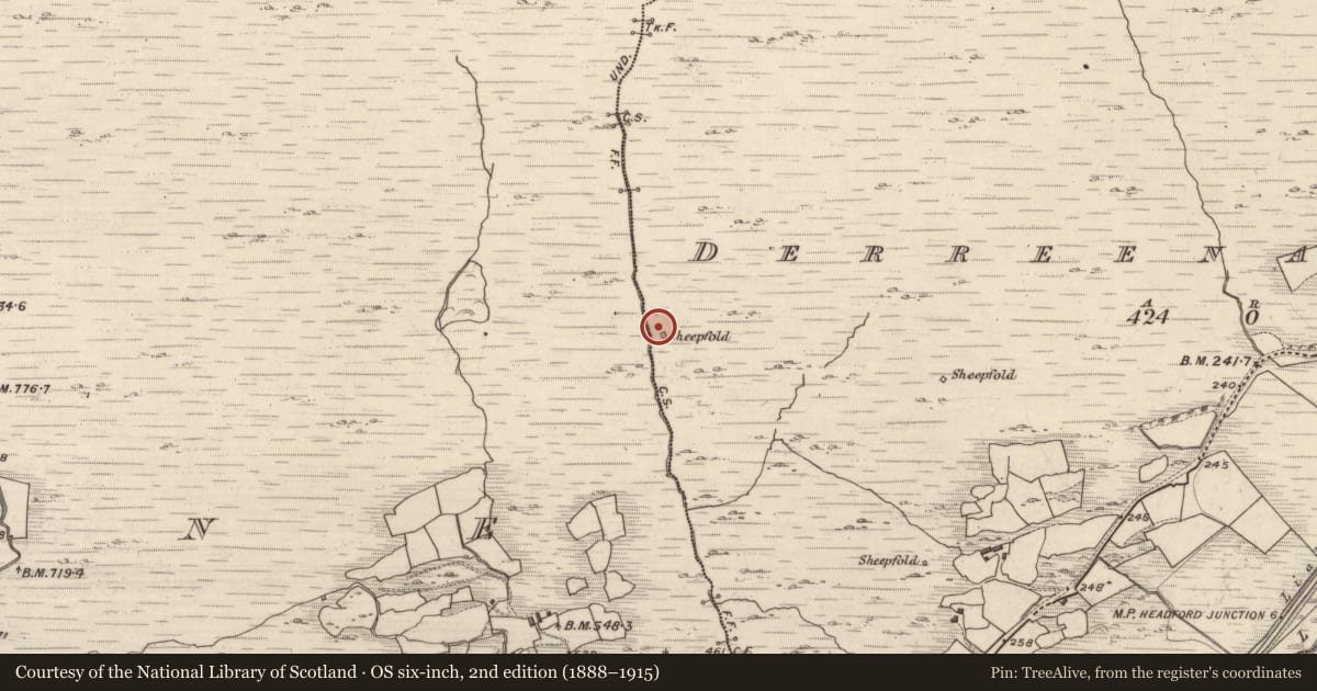 Ordnance Survey six-inch map, 2nd edition (1888–1915) covering the location of Enclosure, Derreenacullig, County Kerry, with a pin at the register's coordinates