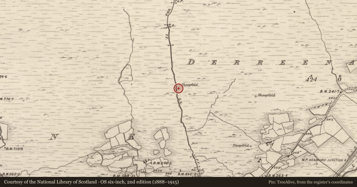 Ordnance Survey six-inch map, 2nd edition (1888–1915) covering the location of Field boundary, Derreenacullig, County Kerry, with a pin at the register's coordinates