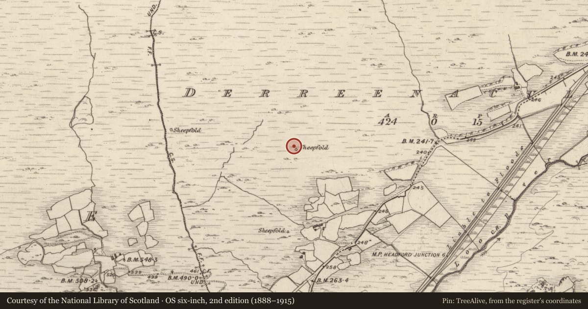 Ordnance Survey six-inch map, 2nd edition (1888–1915) covering the location of Hut site, Derreenacullig, County Kerry, with a pin at the register's coordinates