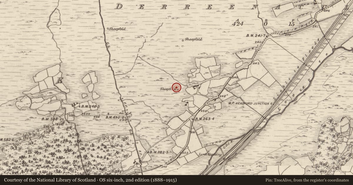 Ordnance Survey six-inch map, 2nd edition (1888–1915) covering the location of Hut site, Derreenacullig, County Kerry, with a pin at the register's coordinates