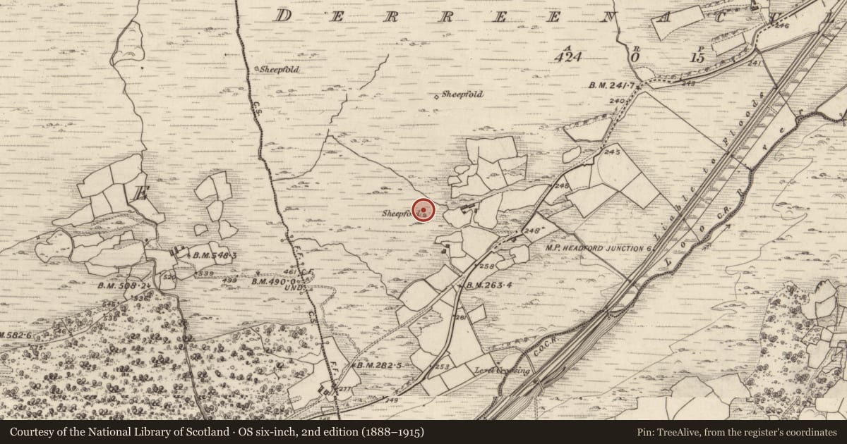 Ordnance Survey six-inch map, 2nd edition (1888–1915) covering the location of Hut site, Derreenacullig, County Kerry, with a pin at the register's coordinates