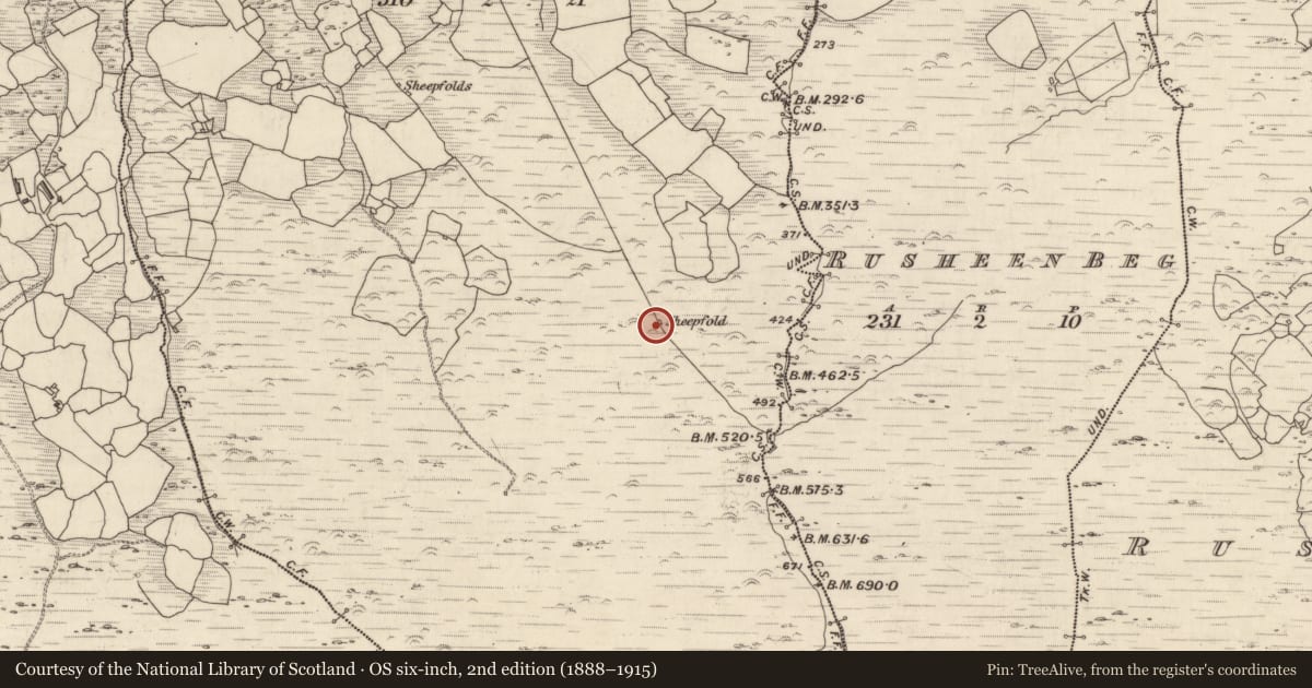 Ordnance Survey six-inch map, 2nd edition (1888–1915) covering the location of Enclosure, Curraglass, County Kerry, with a pin at the register's coordinates