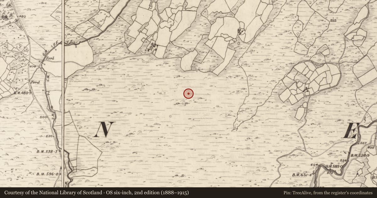 Ordnance Survey six-inch map, 2nd edition (1888–1915) covering the location of Standing stone, Coolies, County Kerry, with a pin at the register's coordinates