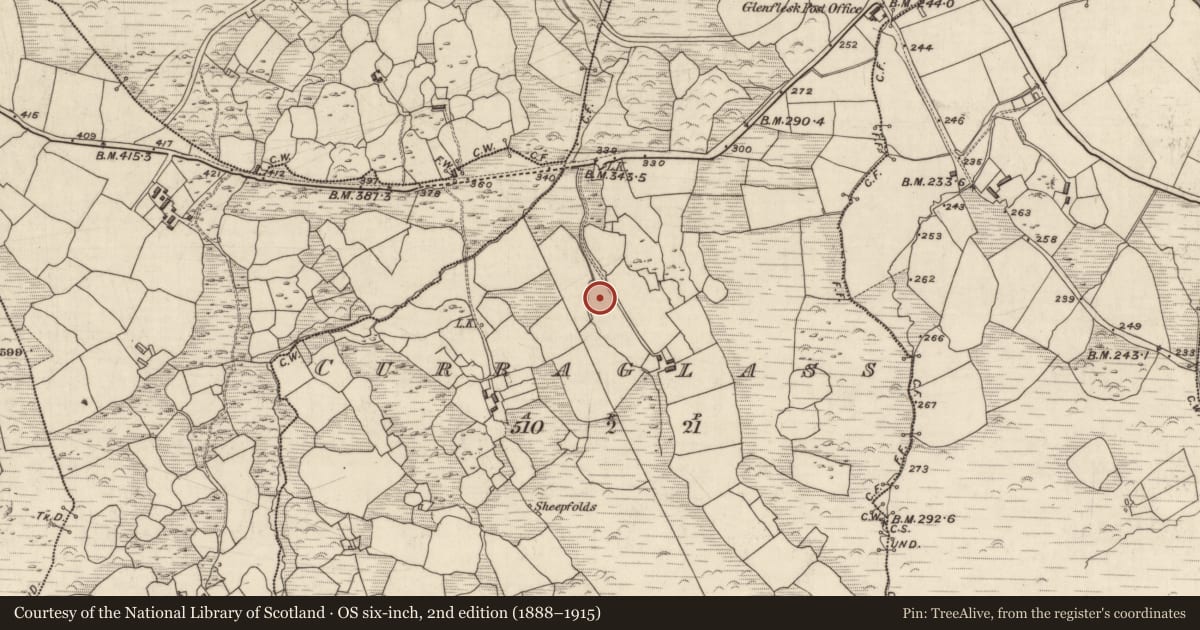 Ordnance Survey six-inch map, 2nd edition (1888–1915) covering the location of Fulacht fia, Curraglass, County Kerry, with a pin at the register's coordinates