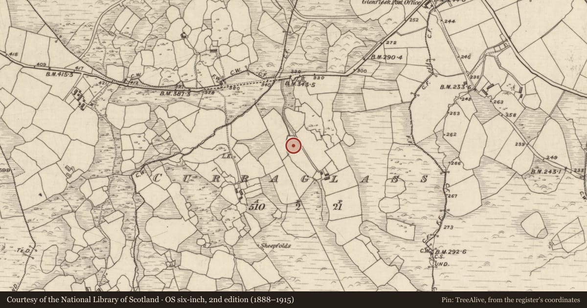 Ordnance Survey six-inch map, 2nd edition (1888–1915) covering the location of Fulacht fia, Curraglass, County Kerry, with a pin at the register's coordinates