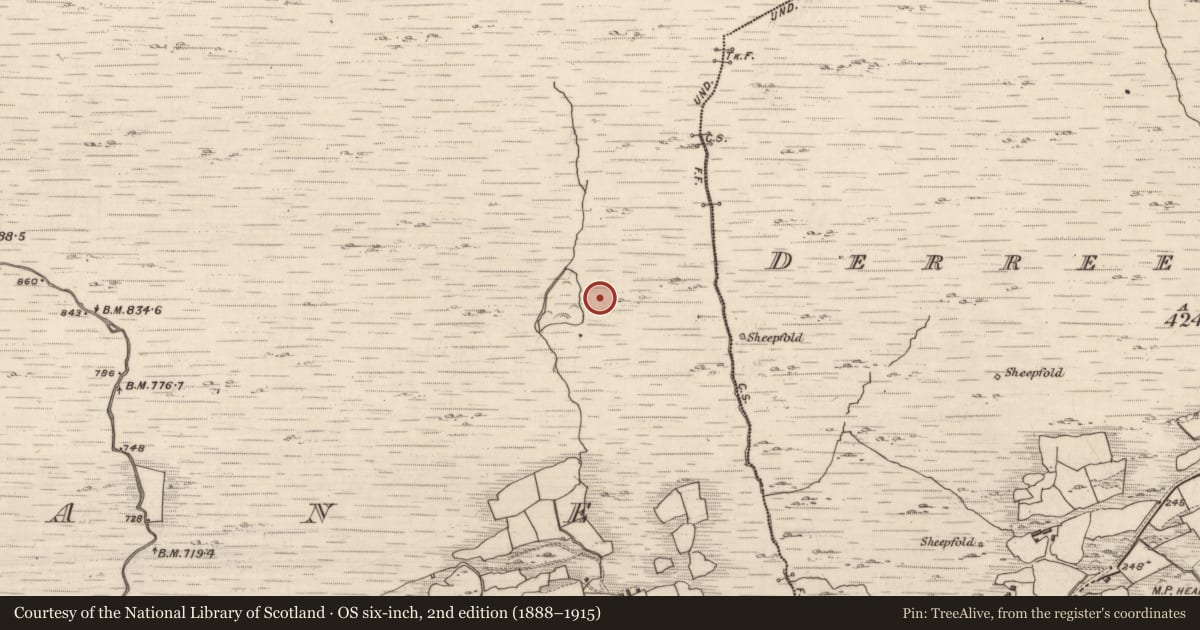 Ordnance Survey six-inch map, 2nd edition (1888–1915) covering the location of Hut site, Crohane, County Kerry, with a pin at the register's coordinates