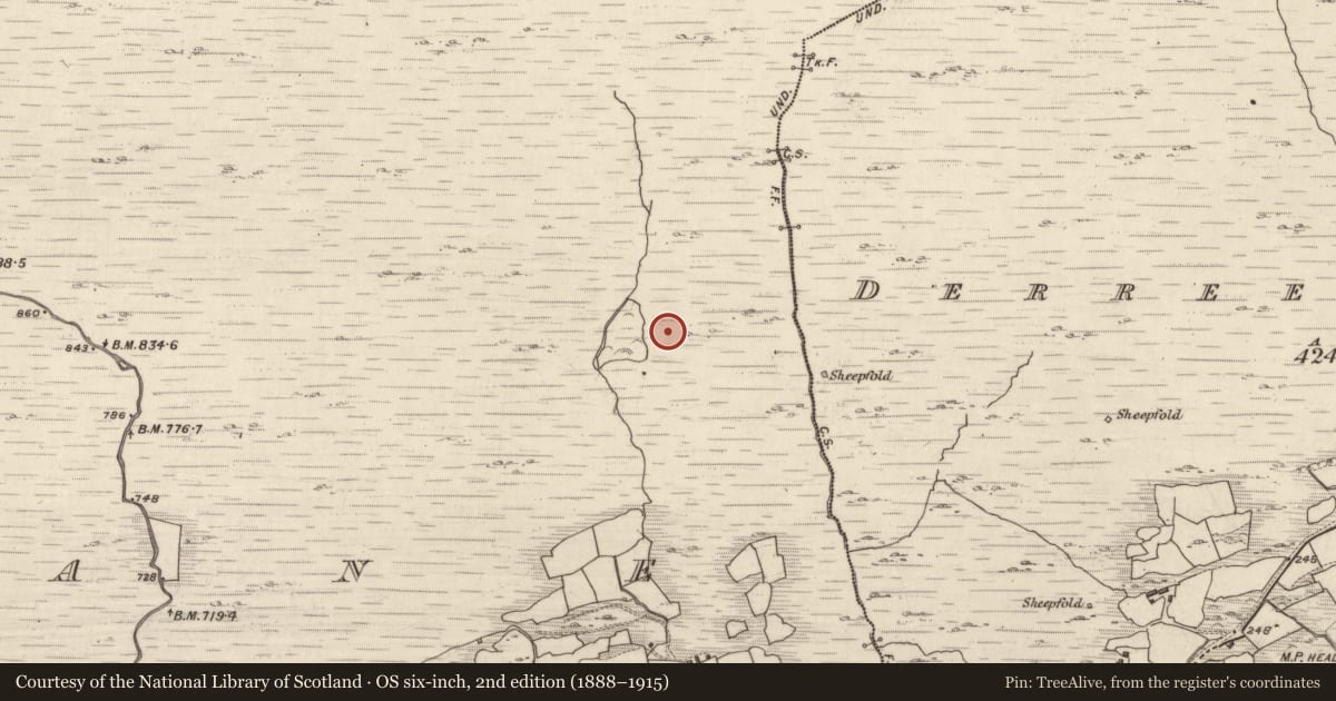 Ordnance Survey six-inch map, 2nd edition (1888–1915) covering the location of Hut site, Crohane, County Kerry, with a pin at the register's coordinates