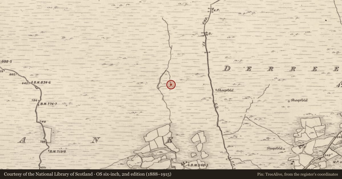 Ordnance Survey six-inch map, 2nd edition (1888–1915) covering the location of Enclosure, Crohane, County Kerry, with a pin at the register's coordinates