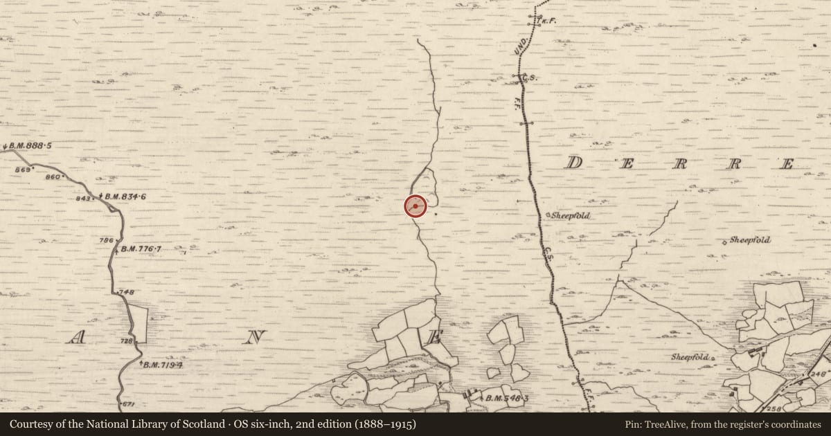 Ordnance Survey six-inch map, 2nd edition (1888–1915) covering the location of Hut site, Crohane, County Kerry, with a pin at the register's coordinates