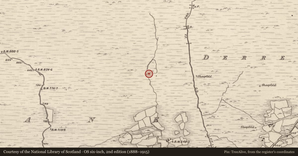 Ordnance Survey six-inch map, 2nd edition (1888–1915) covering the location of Hut site, Crohane, County Kerry, with a pin at the register's coordinates