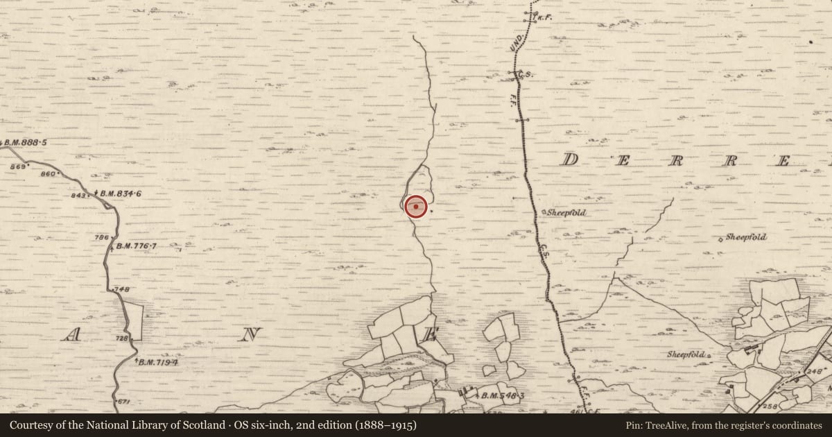 Ordnance Survey six-inch map, 2nd edition (1888–1915) covering the location of Hut site, Crohane, County Kerry, with a pin at the register's coordinates