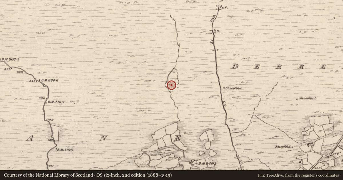 Ordnance Survey six-inch map, 2nd edition (1888–1915) covering the location of Hut site, Crohane, County Kerry, with a pin at the register's coordinates