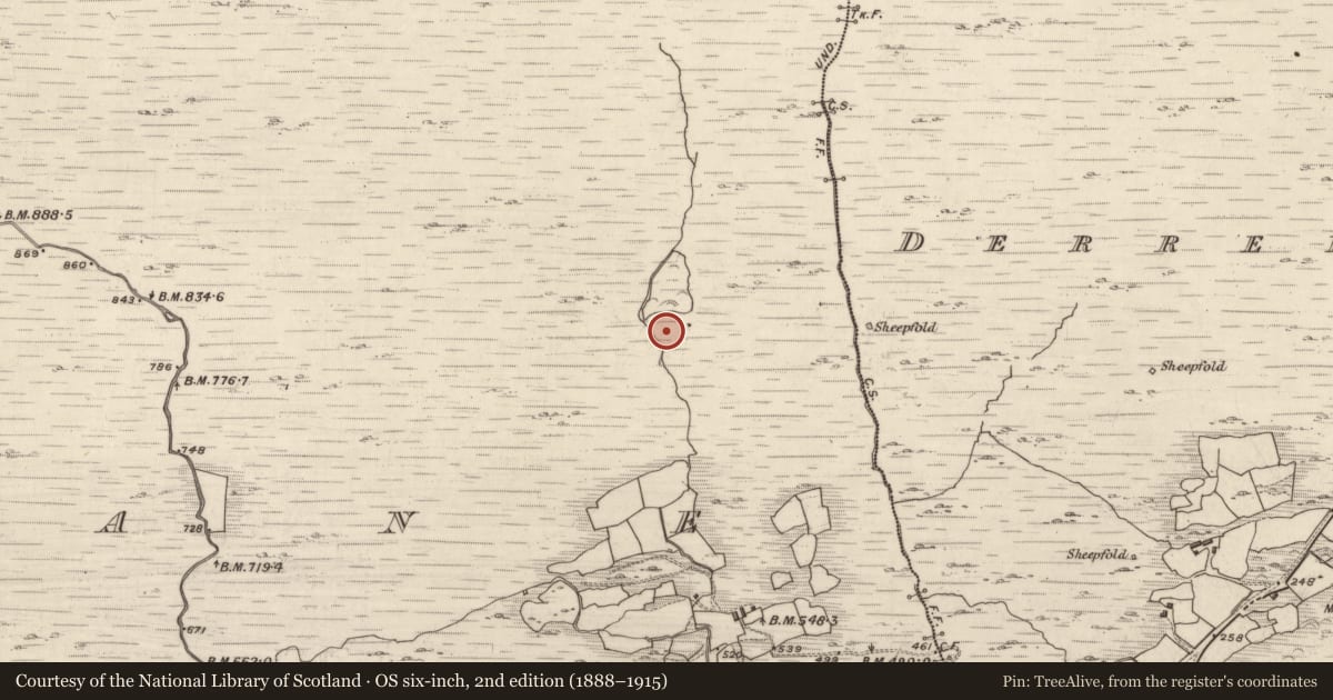 Ordnance Survey six-inch map, 2nd edition (1888–1915) covering the location of Hut site, Crohane, County Kerry, with a pin at the register's coordinates