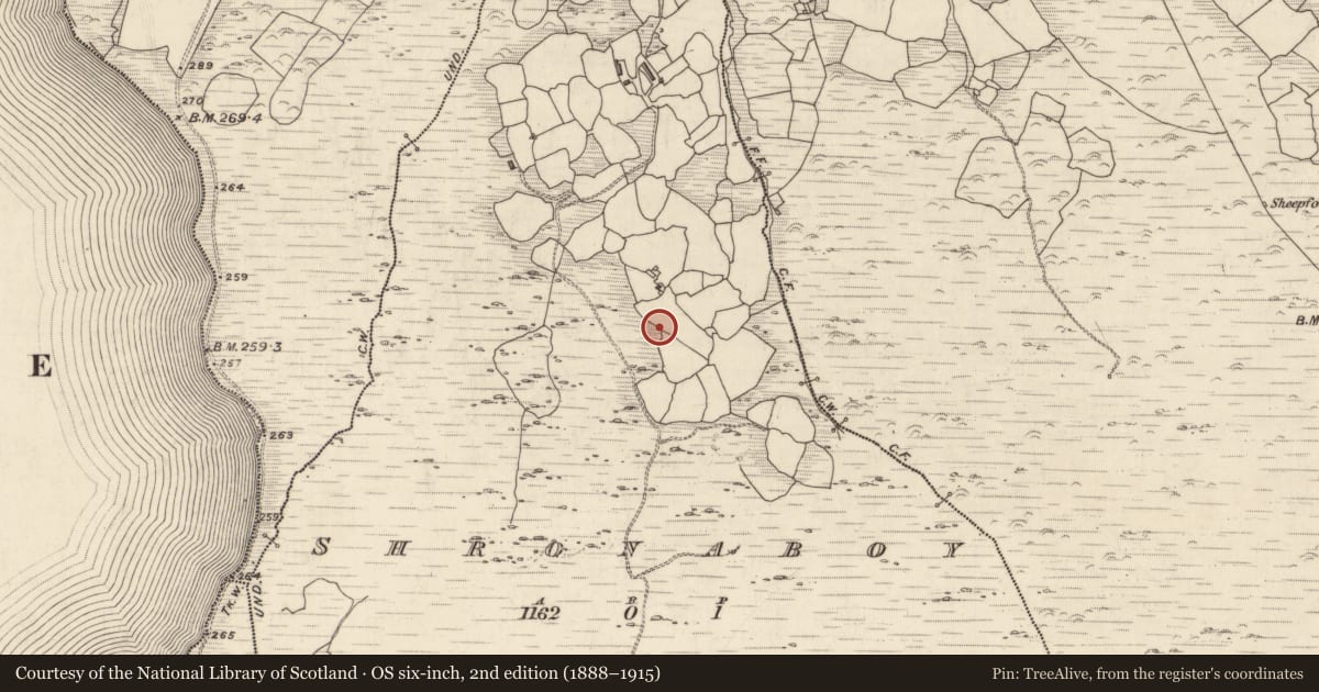 Ordnance Survey six-inch map, 2nd edition (1888–1915) covering the location of Anomalous stone group, Shronaboy, County Kerry, with a pin at the register's coordinates