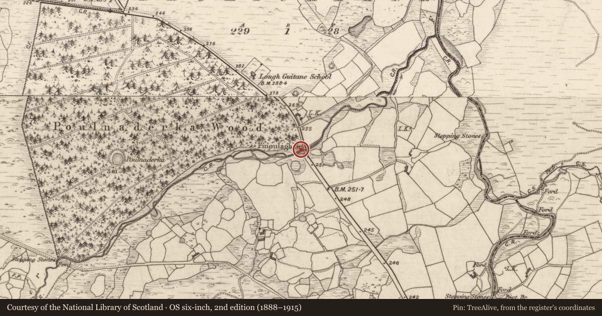 Ordnance Survey six-inch map, 2nd edition (1888–1915) covering the location of Bridge, Dromickbane, Coolies, County Kerry, with a pin at the register's coordinates
