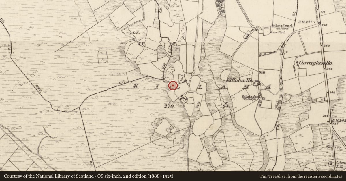 Ordnance Survey six-inch map, 2nd edition (1888–1915) covering the location of Ringfort - rath, Killaha, County Kerry, with a pin at the register's coordinates