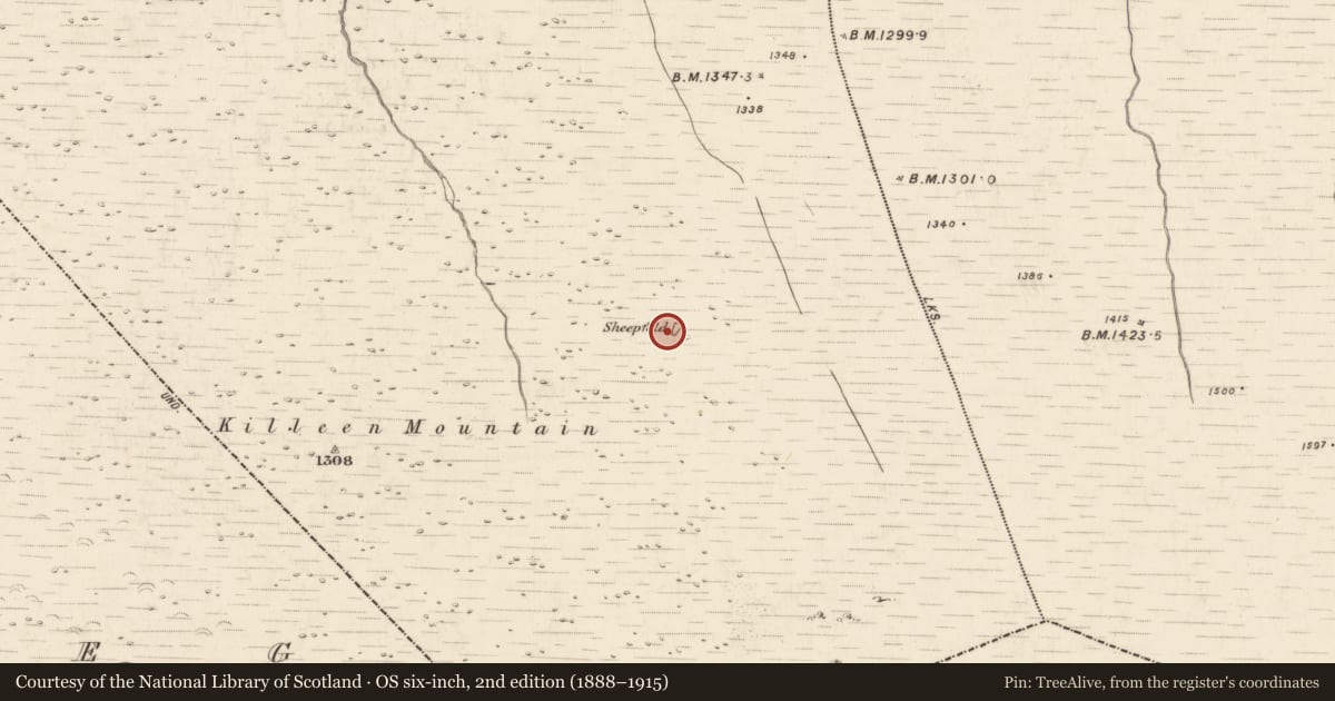 Ordnance Survey six-inch map, 2nd edition (1888–1915) covering the location of Hut site, Doocarrig More, County Kerry, with a pin at the register's coordinates
