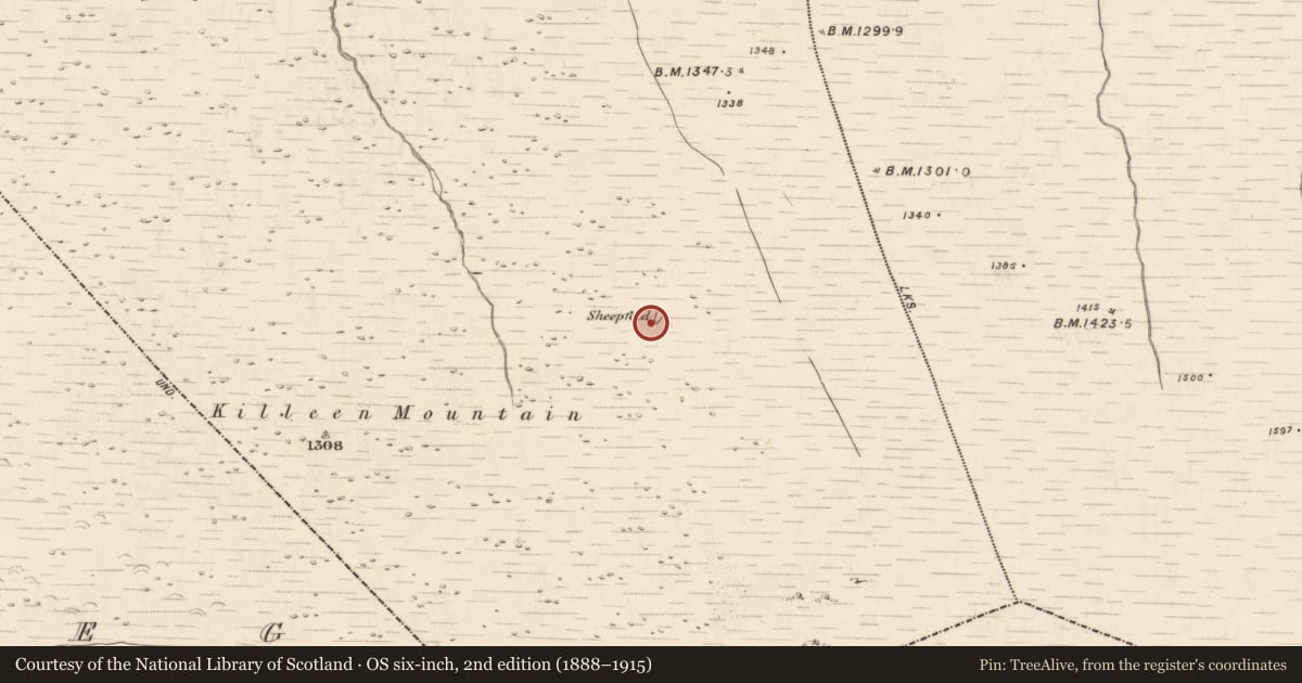 Ordnance Survey six-inch map, 2nd edition (1888–1915) covering the location of Hut site, Doocarrig More, County Kerry, with a pin at the register's coordinates
