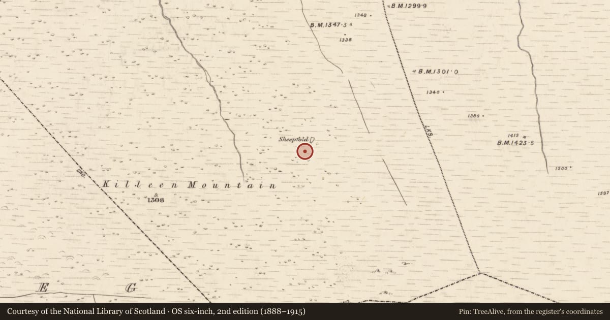 Ordnance Survey six-inch map, 2nd edition (1888–1915) covering the location of Hut site, Doocarrig More, County Kerry, with a pin at the register's coordinates