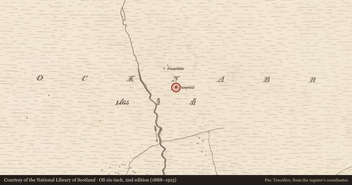 Ordnance Survey six-inch map, 2nd edition (1888–1915) covering the location of Enclosure, Knocknabro, County Kerry, with a pin at the register's coordinates