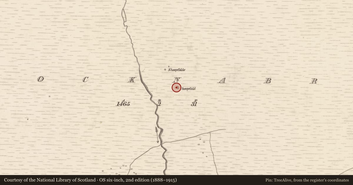 Ordnance Survey six-inch map, 2nd edition (1888–1915) covering the location of Hut site, Knocknabro, County Kerry, with a pin at the register's coordinates
