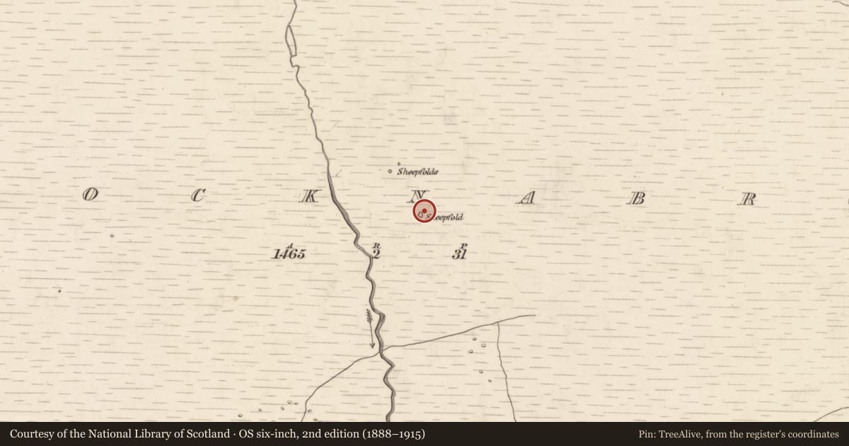 Ordnance Survey six-inch map, 2nd edition (1888–1915) covering the location of Field boundary, Knocknabro, County Kerry, with a pin at the register's coordinates