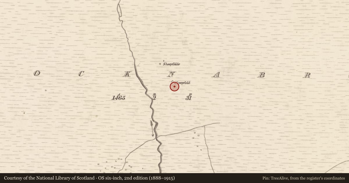 Ordnance Survey six-inch map, 2nd edition (1888–1915) covering the location of Hut site, Knocknabro, County Kerry, with a pin at the register's coordinates