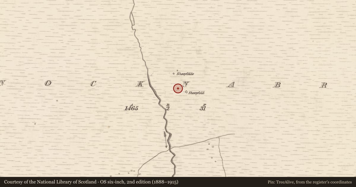 Ordnance Survey six-inch map, 2nd edition (1888–1915) covering the location of Hut site, Knocknabro, County Kerry, with a pin at the register's coordinates