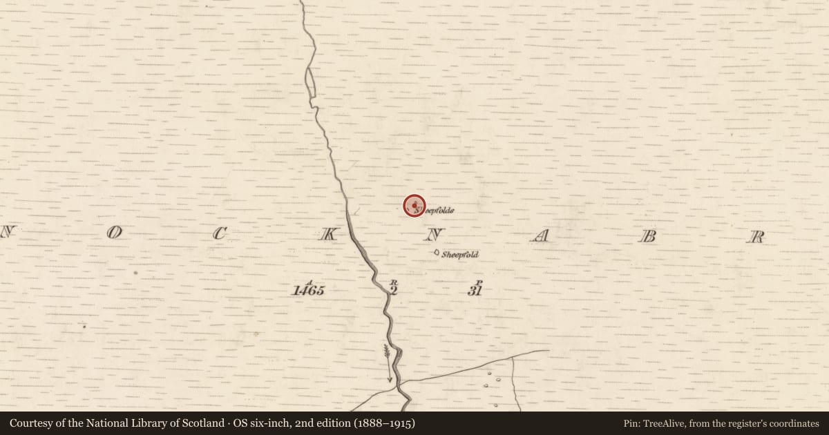 Ordnance Survey six-inch map, 2nd edition (1888–1915) covering the location of Hut site, Knocknabro, County Kerry, with a pin at the register's coordinates