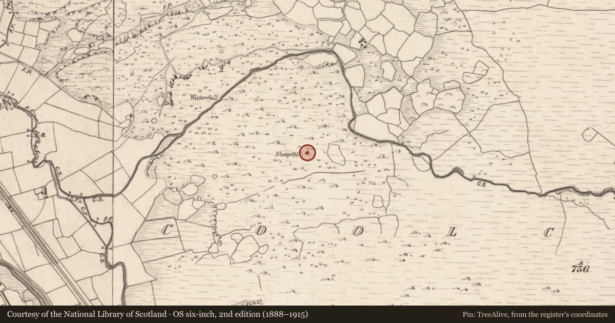 Ordnance Survey six-inch map, 2nd edition (1888–1915) covering the location of Enclosure, Coolcurtoga, County Kerry, with a pin at the register's coordinates
