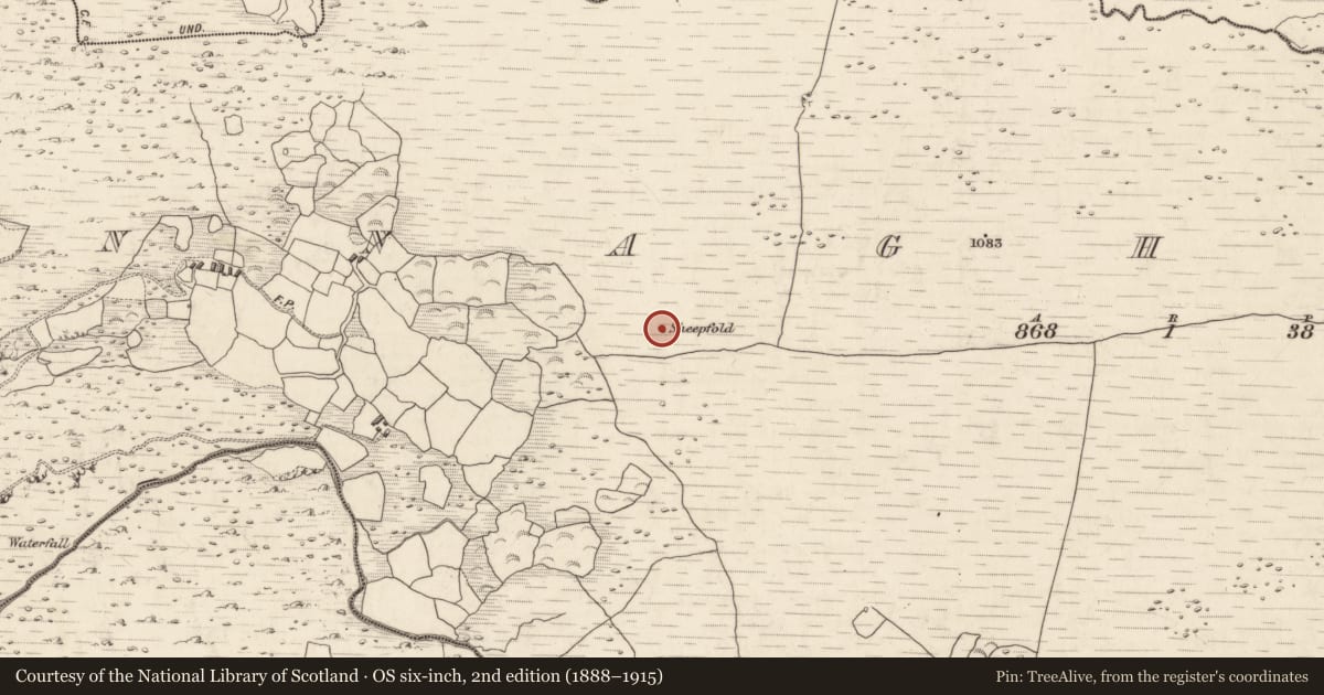 Ordnance Survey six-inch map, 2nd edition (1888–1915) covering the location of Enclosure, Annagh More, County Kerry, with a pin at the register's coordinates