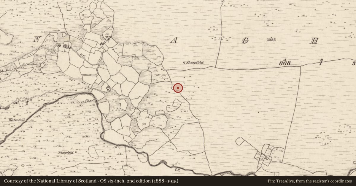 Ordnance Survey six-inch map, 2nd edition (1888–1915) covering the location of Hut site, Annagh More, County Kerry, with a pin at the register's coordinates