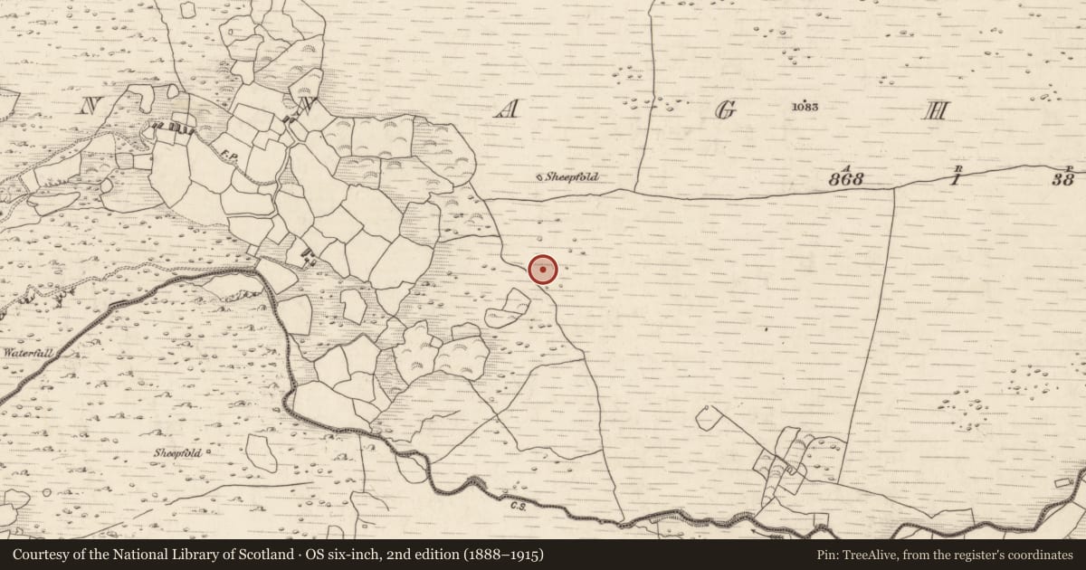 Ordnance Survey six-inch map, 2nd edition (1888–1915) covering the location of Hut site, Annagh More, County Kerry, with a pin at the register's coordinates