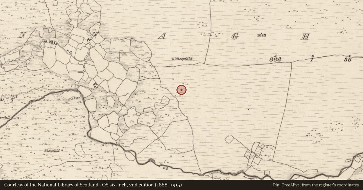 Ordnance Survey six-inch map, 2nd edition (1888–1915) covering the location of Hut site, Annagh More, County Kerry, with a pin at the register's coordinates