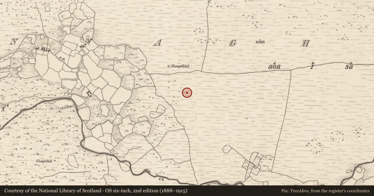 Ordnance Survey six-inch map, 2nd edition (1888–1915) covering the location of Hut site, Annagh More, County Kerry, with a pin at the register's coordinates