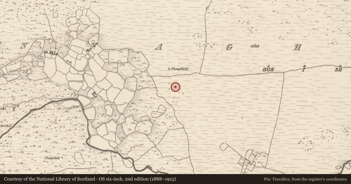 Ordnance Survey six-inch map, 2nd edition (1888–1915) covering the location of Field system, Annagh More, County Kerry, with a pin at the register's coordinates