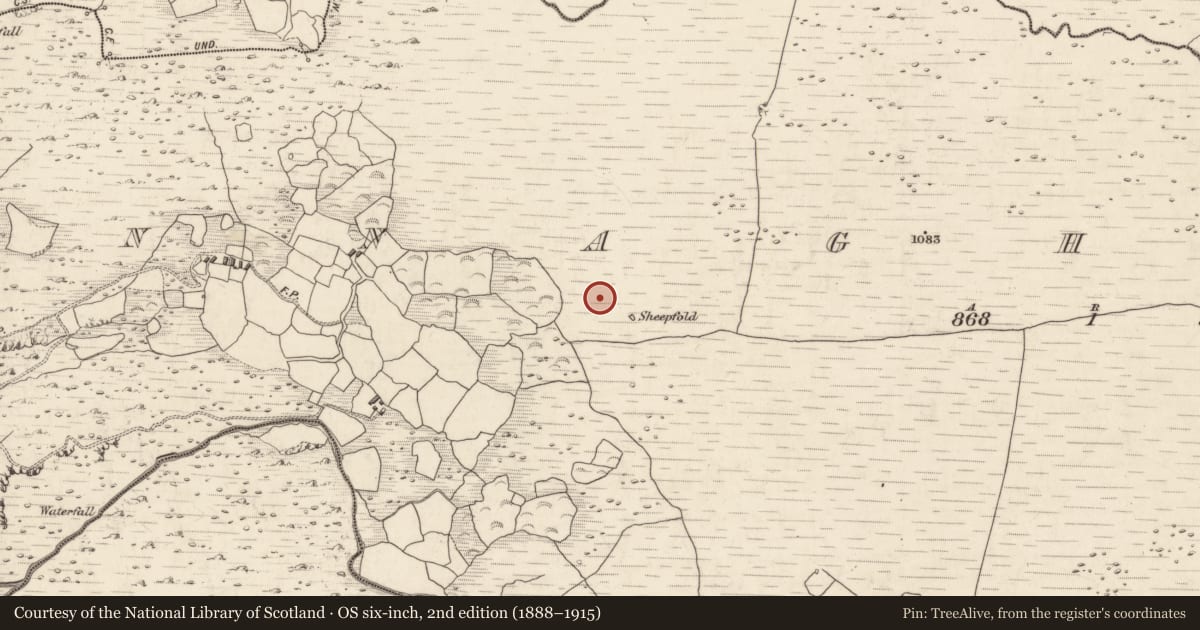 Ordnance Survey six-inch map, 2nd edition (1888–1915) covering the location of Hut site, Annagh More, County Kerry, with a pin at the register's coordinates