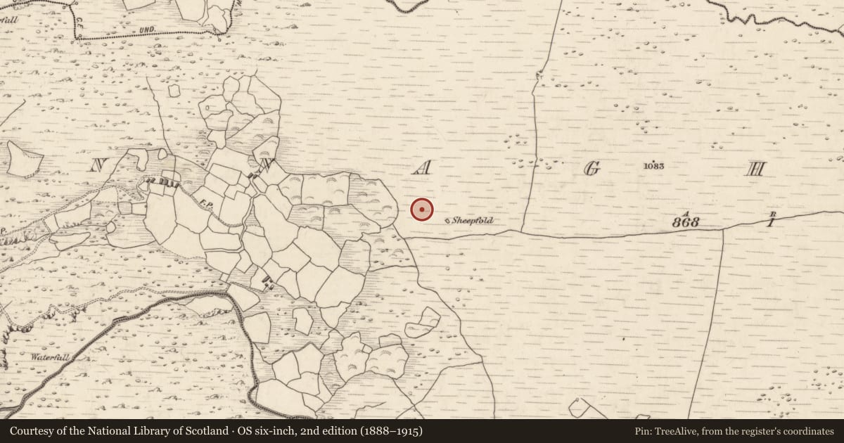 Ordnance Survey six-inch map, 2nd edition (1888–1915) covering the location of Hut site, Annagh More, County Kerry, with a pin at the register's coordinates