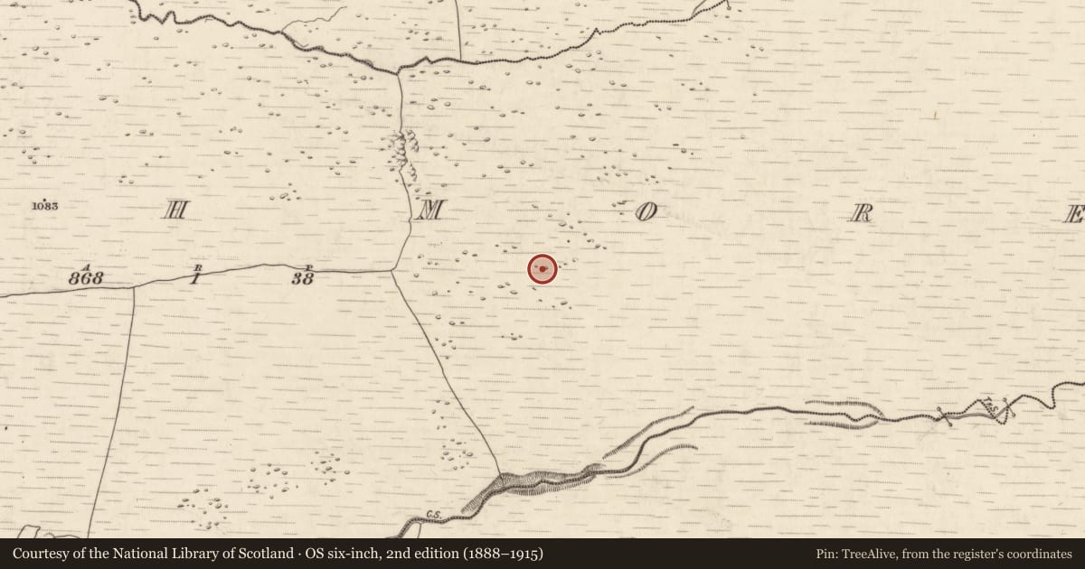 Ordnance Survey six-inch map, 2nd edition (1888–1915) covering the location of Enclosure, Annagh More, County Kerry, with a pin at the register's coordinates