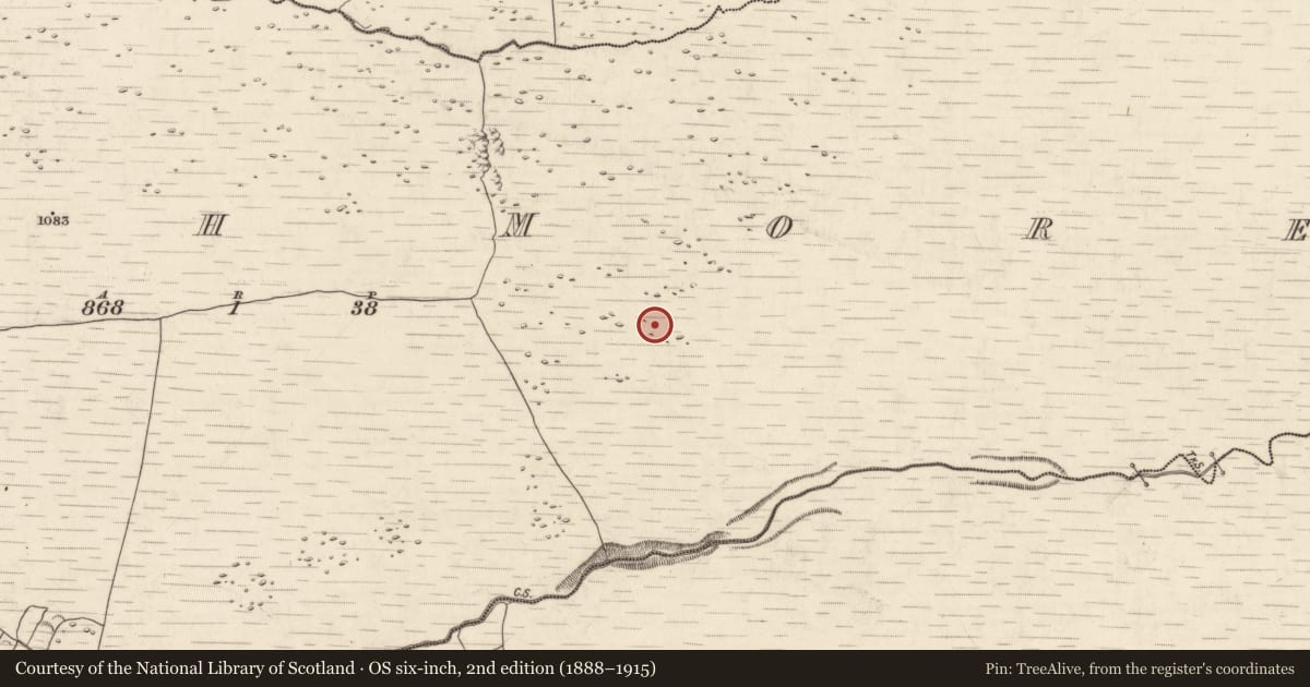 Ordnance Survey six-inch map, 2nd edition (1888–1915) covering the location of Hut site, Annagh More, County Kerry, with a pin at the register's coordinates
