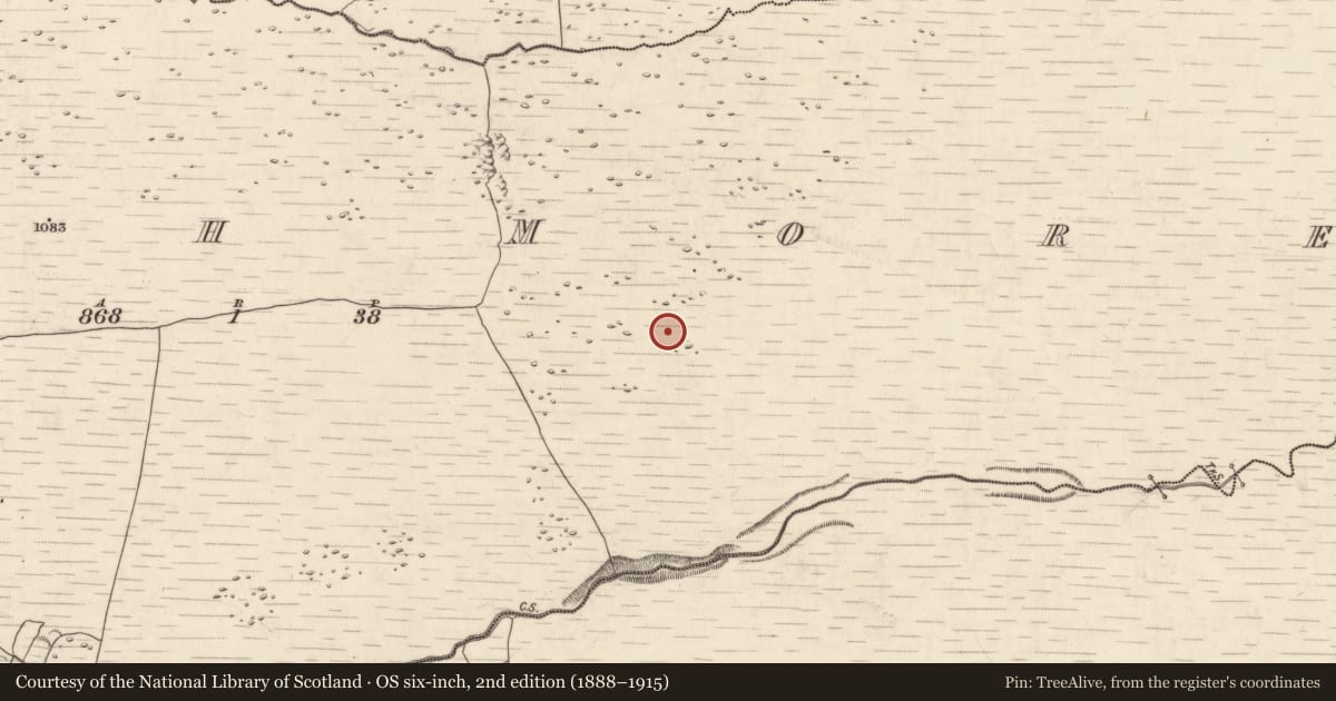 Ordnance Survey six-inch map, 2nd edition (1888–1915) covering the location of Hut site, Annagh More, County Kerry, with a pin at the register's coordinates