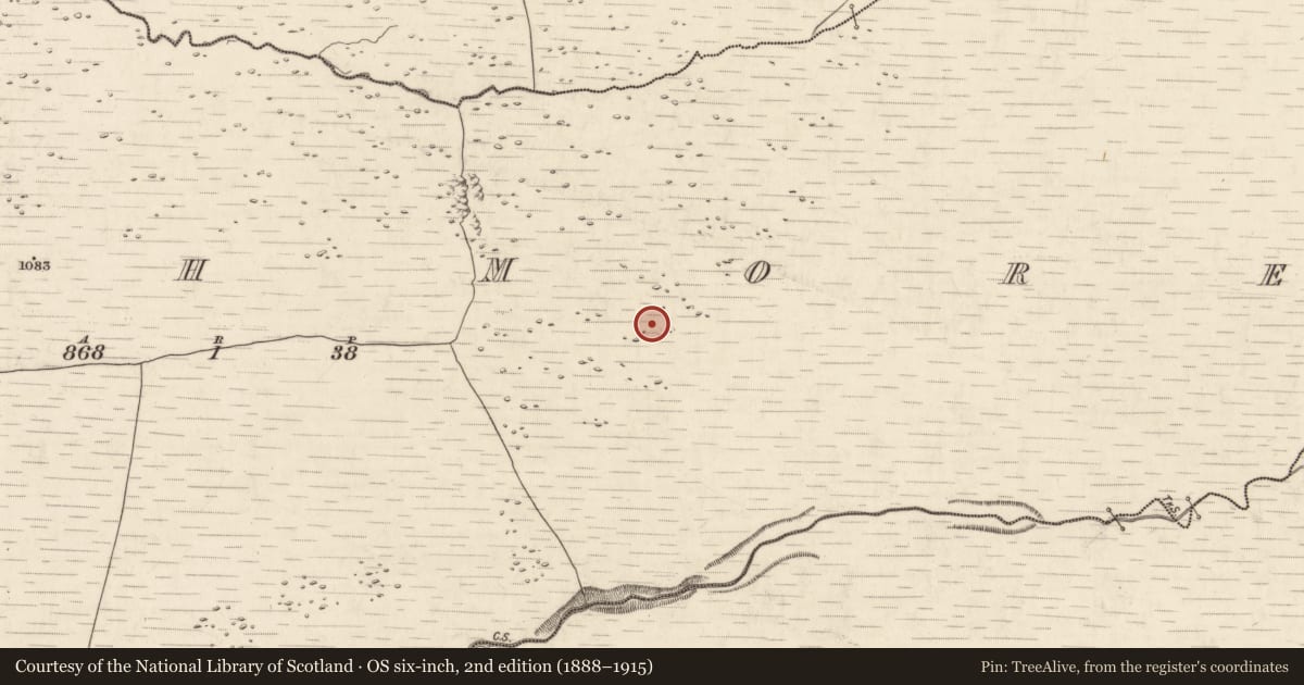 Ordnance Survey six-inch map, 2nd edition (1888–1915) covering the location of Hut site, Annagh More, County Kerry, with a pin at the register's coordinates