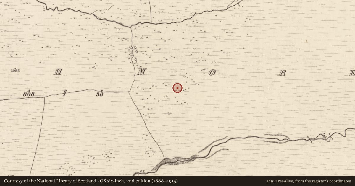 Ordnance Survey six-inch map, 2nd edition (1888–1915) covering the location of Hut site, Annagh More, County Kerry, with a pin at the register's coordinates